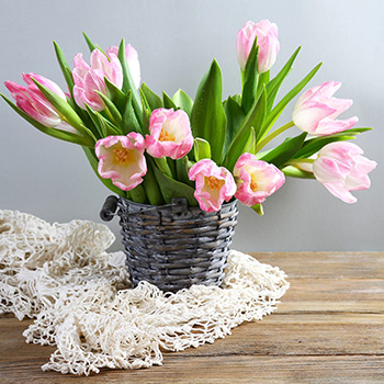 featured Images