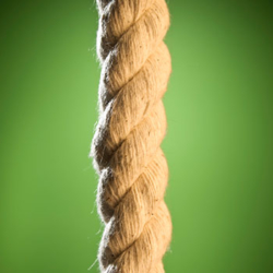 cord of three strands
